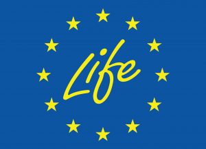 life_1_1-300x217.jpg